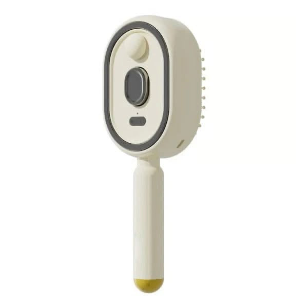 Electric Spray Hair Massage Comb
