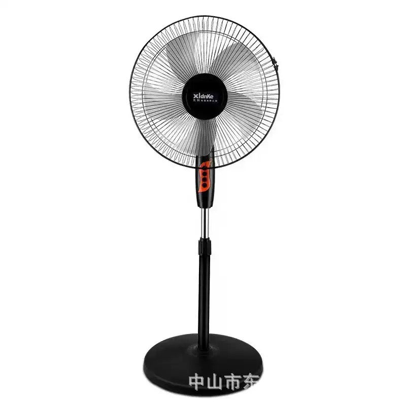 Fan