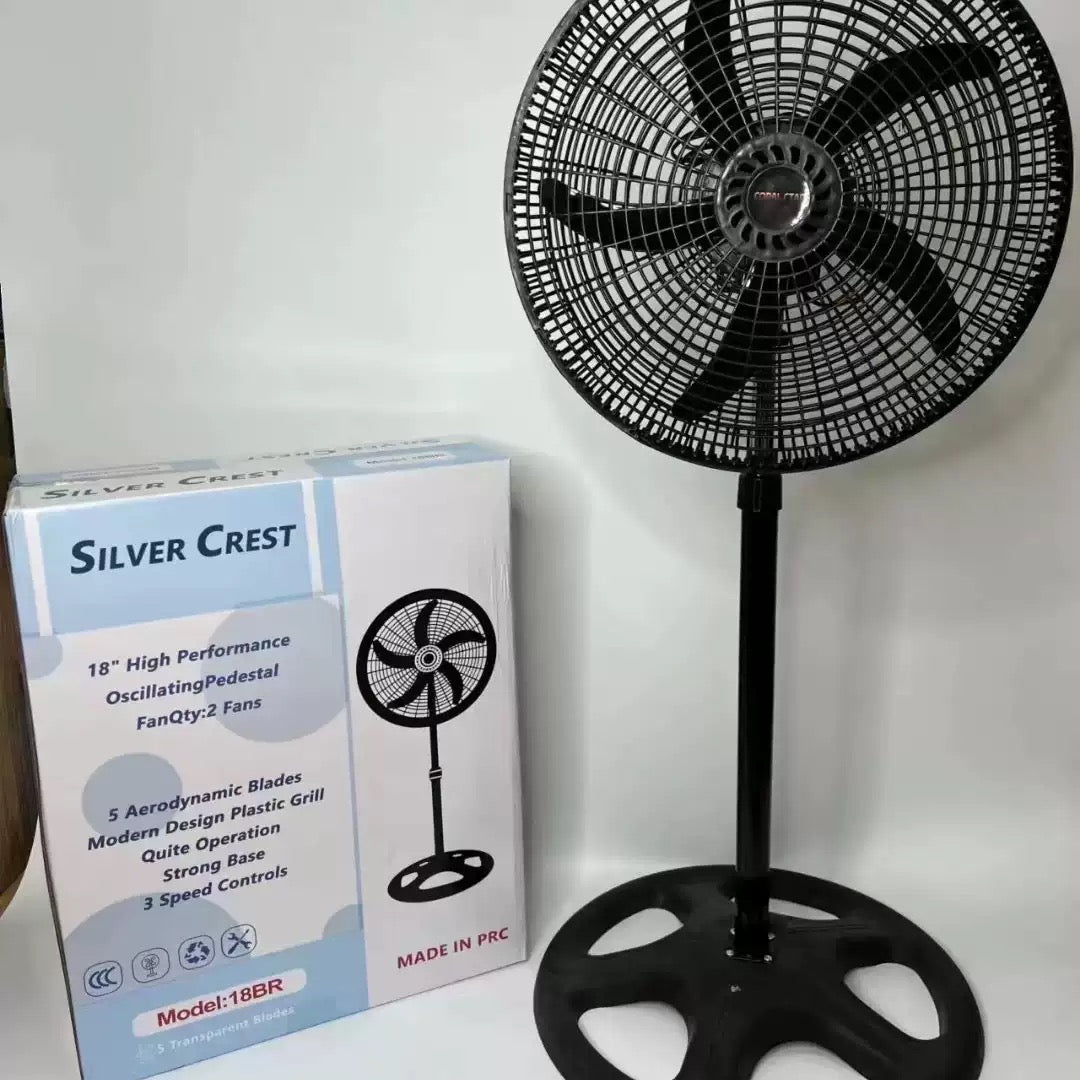 Fan