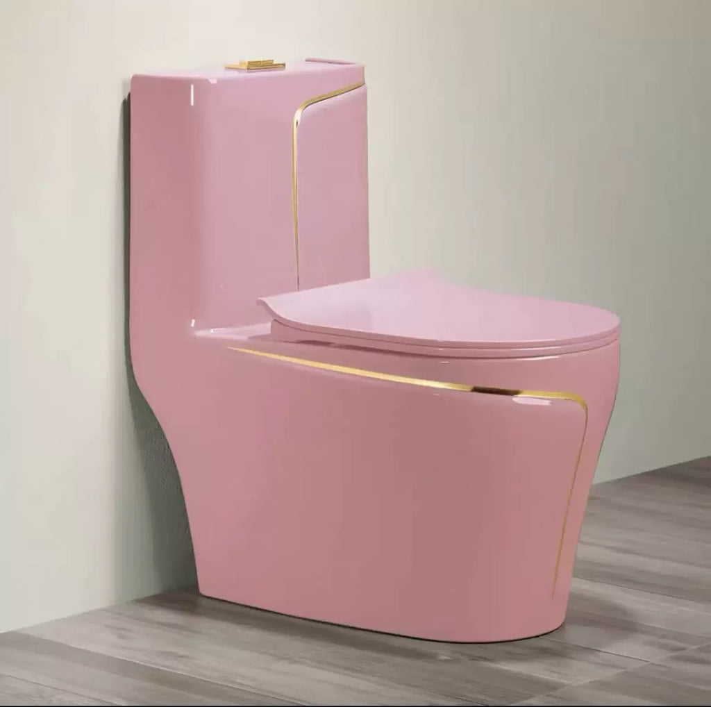 Ceramic Toilet