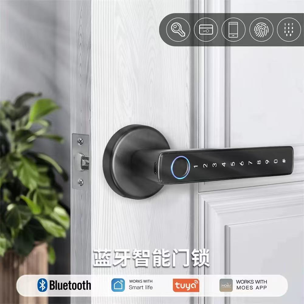 Smart Fingerprint Door Lock